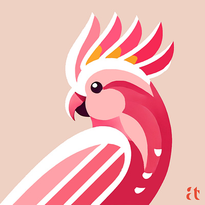 Artistic Logo Inspirations by Aravind Reddy Tarugu #8: Pink Cock aravind art branding clean design digital flat geometric graphic design icon logo modern nature pink cockatoo reddy tarugu ui ux vector website