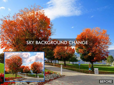 Sky Background Remove adobe photoshop background background removal background remove branding change the sky background clipping path garden graphic design image image background remove image editing logo photo background remove photo editing photoshop sky sky background remove tree trees background remove