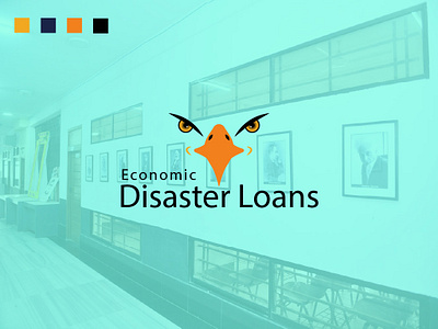 Economic Disaster Loans bashir ahmed economic disaster loans