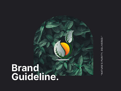 Eco Herbalist Brand Guidelines brand guidelines branding design hire me logo marketing typography ux consultant visual identity