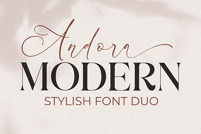 Andora Modern Font branding calligraphy card casual elegant fashion font logo modern photography visual