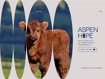 Aspen Hope. Luxury Zoo. Design concept birds concept cows hero landingpage webdesign website znimals zoo