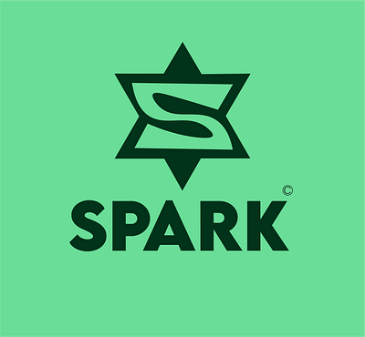 Star Shape logo named with "SPARK" graphic design logo spark spark logo star shape star shape logo