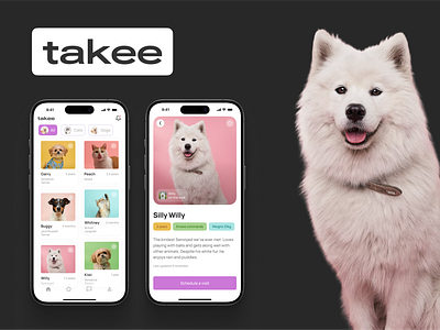 takee - animal shelter app app design ui ux