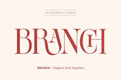 BRANCH branding font graphic design logo packaging