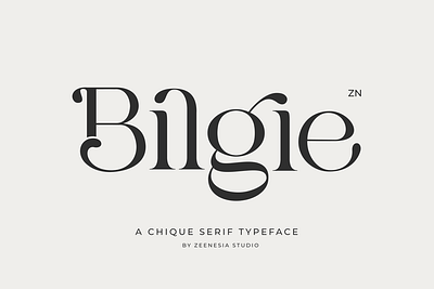 Bilgie branding font graphic design logo