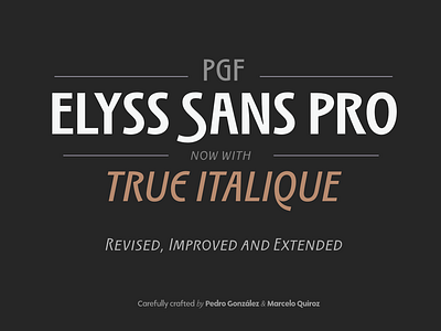 PGF Elyss Sans Pro architectural architecture art deco art nouveau branding brochure design cover design elegant design film cover graphic design heading innovative font label design magazine cover poster poster design ticket design titling type design typography