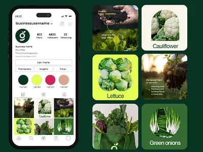 Gul Organics - Social Media Posts Design branding social media posts design