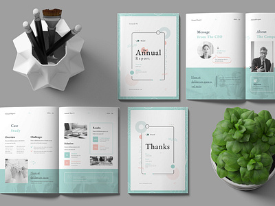 Annual Report annual report brand design branding brochures design budget budget analysis business brochures business report charts and graphs clean and creative company profile company report financial report graphic design information modern design project proposal report 2025 simple design stationery