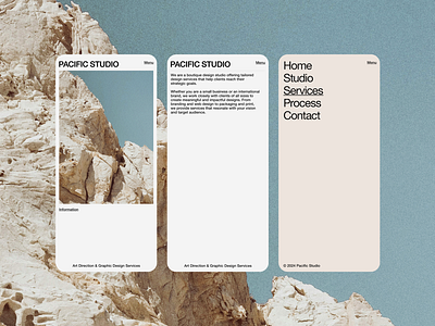 PACIFIC STUDIO branding design identity logo mobile pacific responsive studio ui ux website