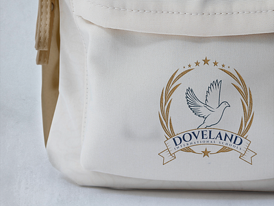 Doveland Schools - Rebranding brand identity branding design graphic design