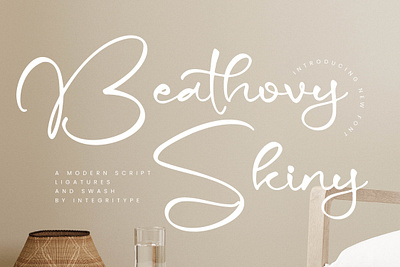 Beathovy Skiny - Modern Script Font style