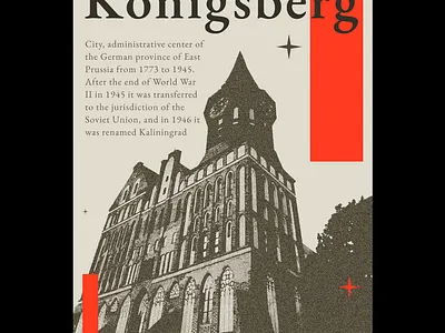 Poster Kaliningrad cover animals city cover design figma graphic design grunge poster