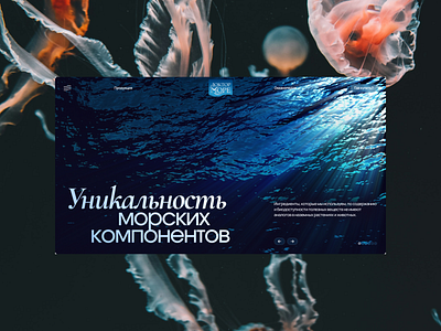 Oceanic supplement brand website design 2024 agency creative design modern modern design ocean trend trend design trends ui ui design ux ux design web web design website