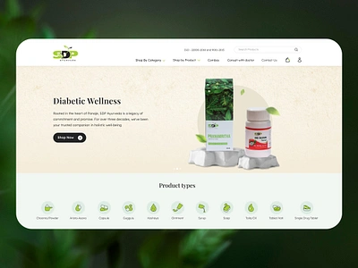 SDP E-commerce - Web Design design illustration ui web