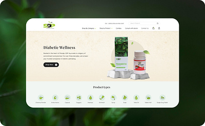 SDP E-commerce - Web Design design illustration ui web