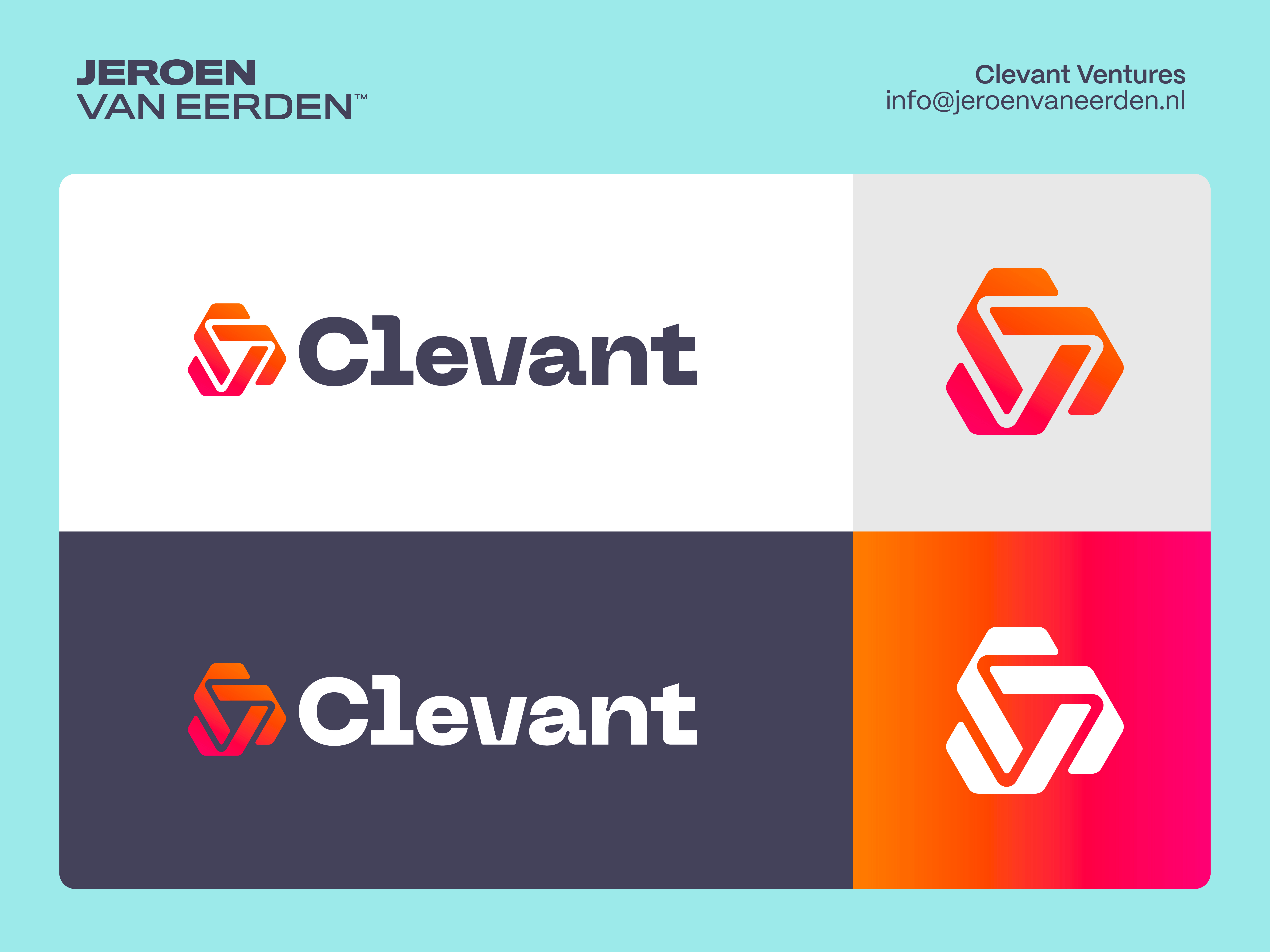 Example of 🌟 Premium Logo Package