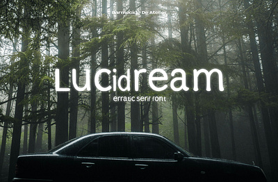 LUCIDREAM - ERRATIC SERIF FONT aesthetic font arratic font retro font retro serif font san serif serif serif font vintage font