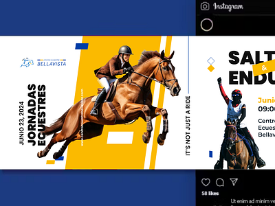 Bellavista - Instagram Carousel Design blue branding carousel concept equestrian graphic design horse instagram yellow