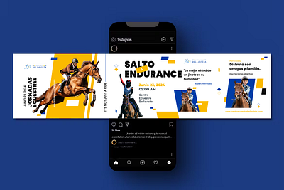 Bellavista - Instagram Carousel Design blue branding carousel concept equestrian graphic design horse instagram yellow