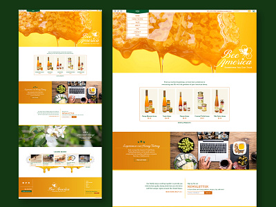 Bee America Website Designs branding layout mobile mobile design mobile graphics ui web design website