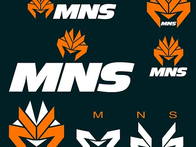 MNS LOGO PROJ. design graphic design illustration logo poster vector