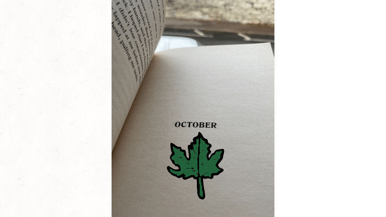 Example of Eye  Catching  Gi Fs 