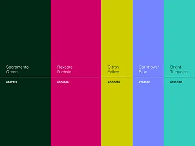 Flexcare Medical Colors brand branding care color color palette colors health health care hospital medical medicine nurse nursing palette