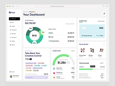 Nyle Dashboard admin analytics banking chart crm dribbble finance fintech money payment product product design saas sales startup ui ux visual design web application