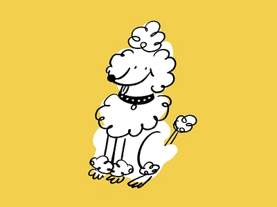 Poodle 🐩 design doodle funny illo illustration lol poodle sketch