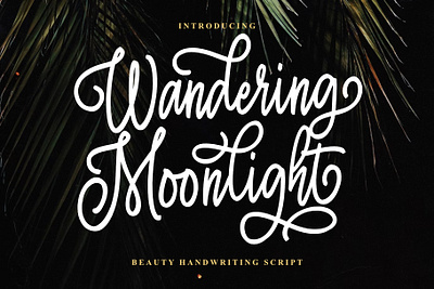 Wandering Moonlight branding design font identity illustration lettering logo type typography ui