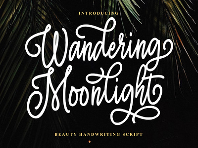 Wandering Moonlight branding design font identity illustration lettering logo type typography ui