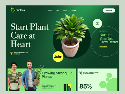 Plantons Website product ui ux web website