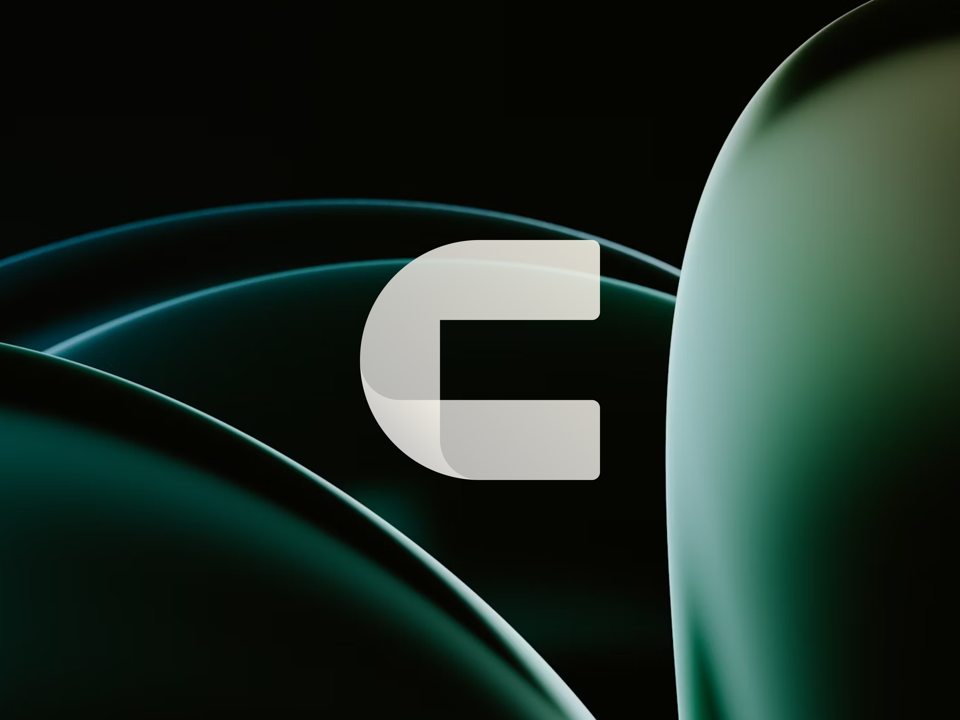 Example of Logo & Full Brand Guideline Service