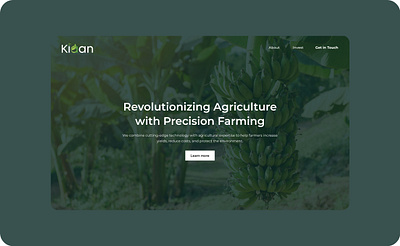 Kiaan Agrow - Web Design app design branding graphic design illustration ui web