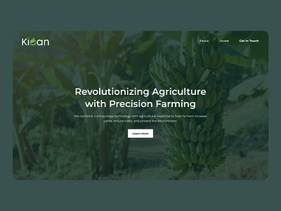 Kiaan Agrow - Web Design app design branding graphic design illustration ui web