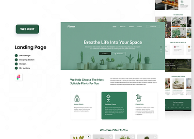 Website Landing Page design landing page ui ux