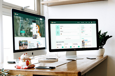 Veterinary Desktop App app design ui ux web design