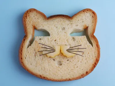 Cat lunch graphic design