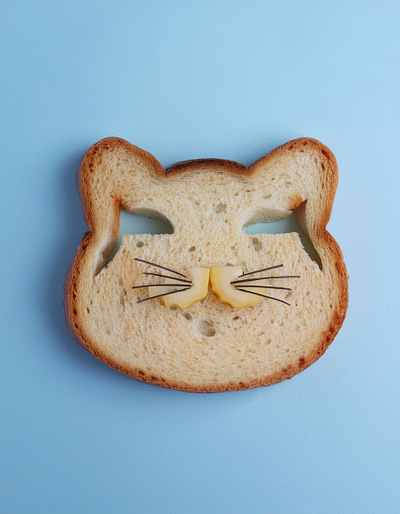 Cat lunch graphic design