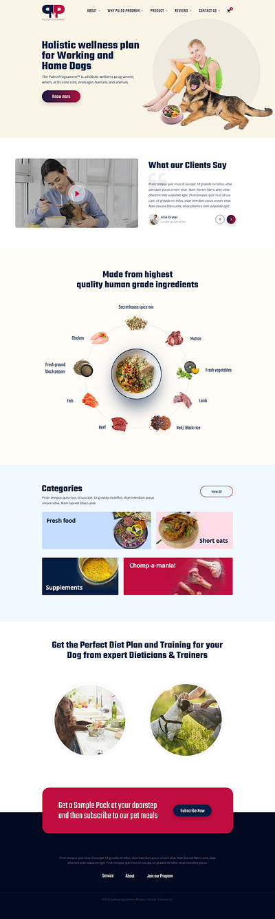 Paleo Programme design typography ui ux