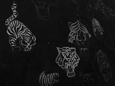 Tiger sketch animal beast black cat icon illustration jungle logo sketch stripe tiger wip