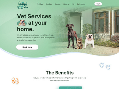 Jellysvet: Give the Little ones the care they need at Home. design typography ui ux