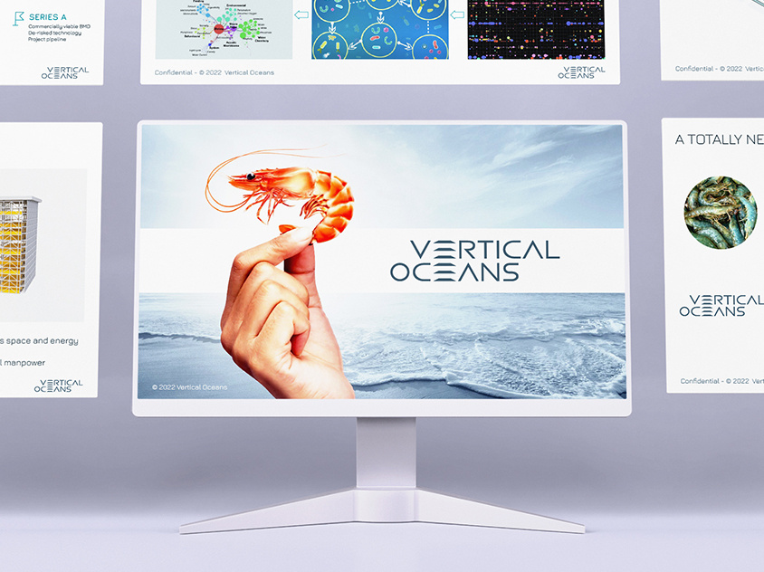 Vertical Oceans presentation branding graphic design graphic designer infographic infographic design infographics presentation presentation design product product design