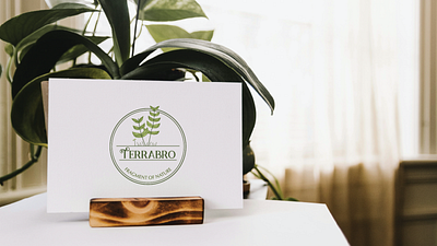 Terrabro Logo Design branding graphic design logo