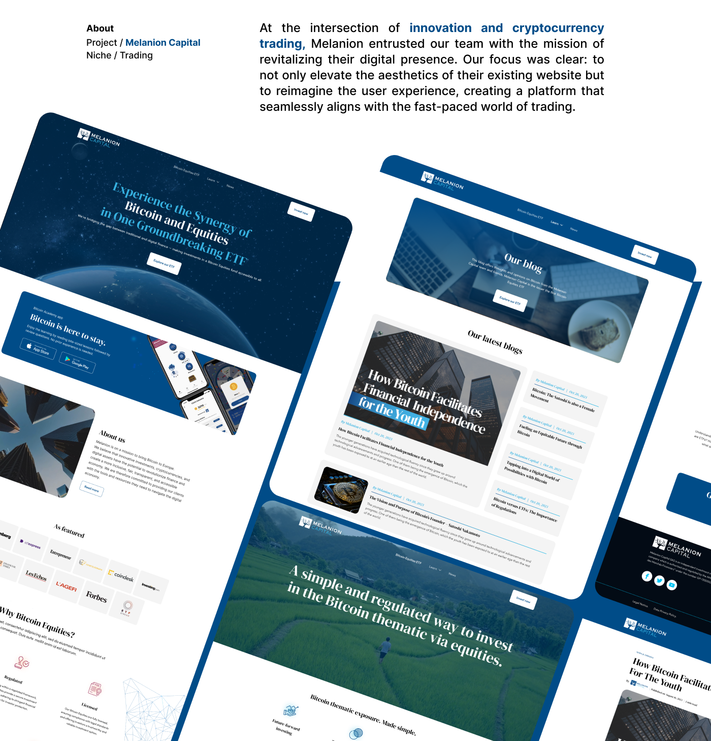 Example of Website Development 