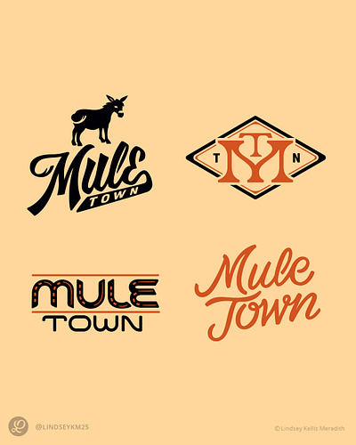 Mule Town brand graphics branding custom graphic design identity lettering logo vector