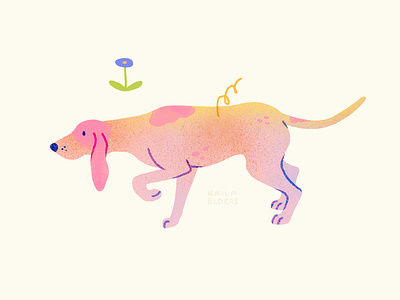 Porcelaine Hound Dog Illustration animal art animal artist color digital art digital illustration dog dog art dog illustration flower gradient hound hound dog hunting dog pastel rainbow