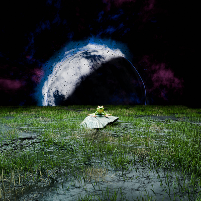 Frog in Space Junkyard 3d artwork blender dribble frog space