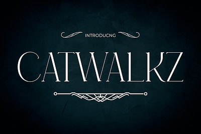 CATWALKZ branding children design display font elegant font girly font illustration instagram font luxury font poster youtube